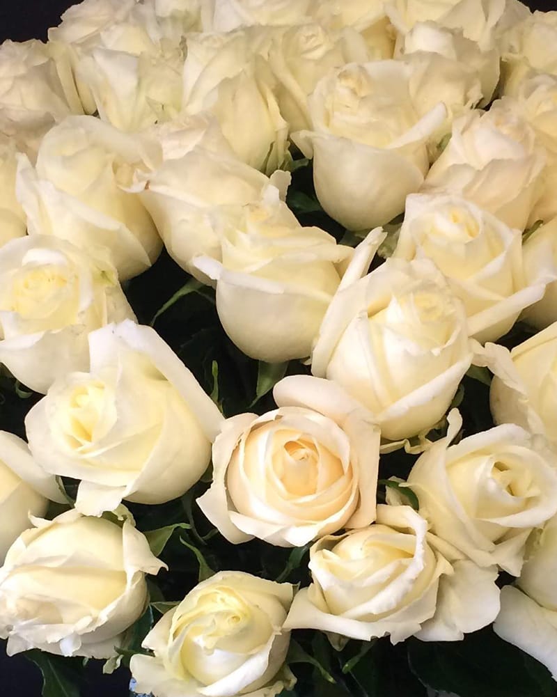 101 balta 70 cm. gara Premium klases roze - Image 2