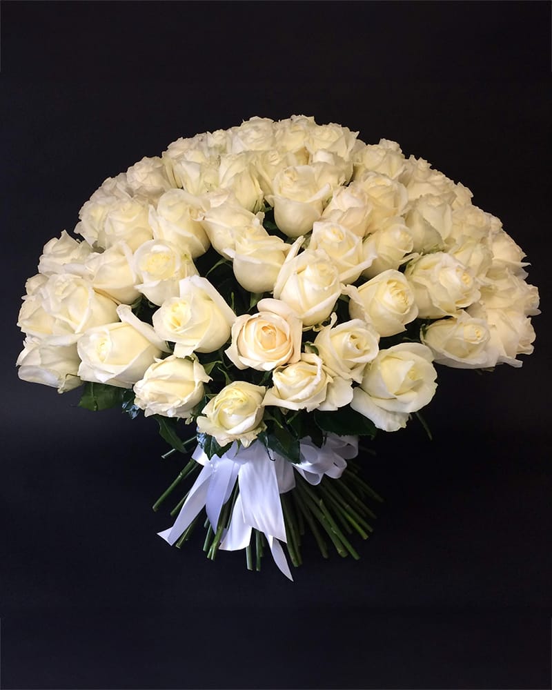 101 balta premium roze