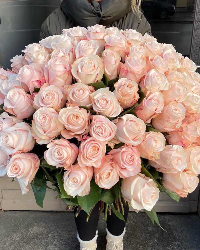 101 rozā roze premium