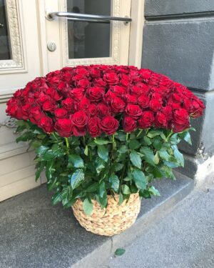 201 sarkana roze grozā