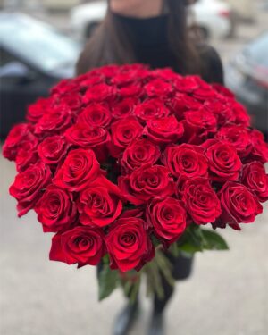 51 sarkana premium roze