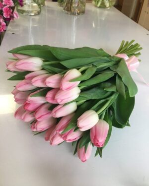 Rozā tulpju pušķis