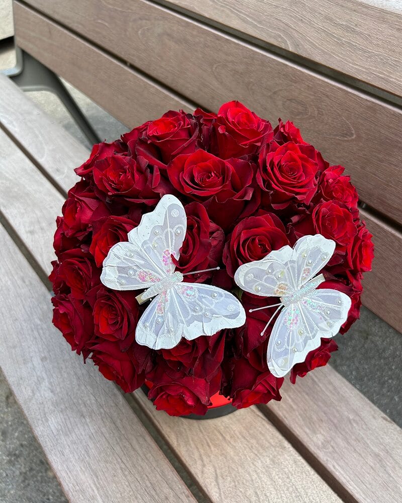 Sarkanas rozes apaļā kastē ar tauriņiem