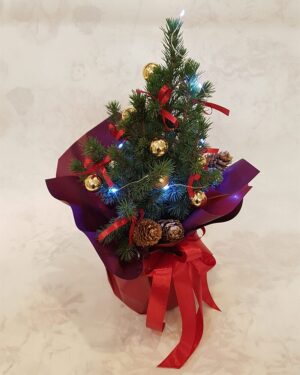 Ziemassvētku eglīte