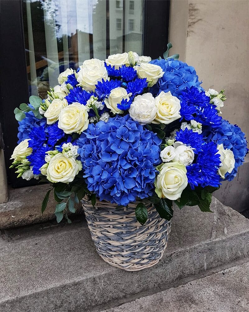 Zili ziedi grozā - Image 2