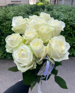 Baltu rožu pušķis