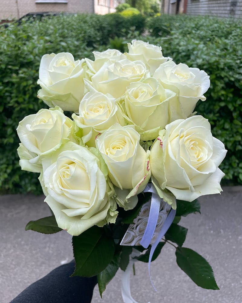 Baltu rožu pušķis