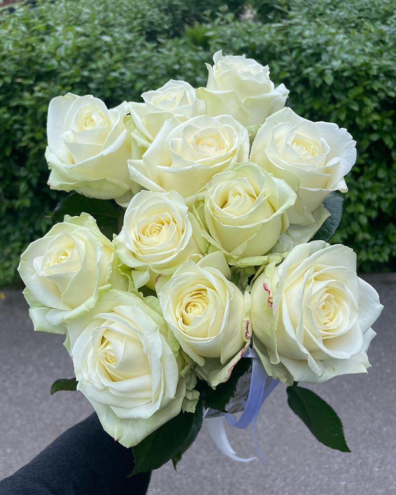 Baltu rožu pušķis