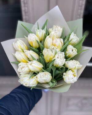 Baltu tulpju pušķis