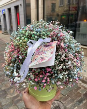 Krāsaina Gipsofila kastītē