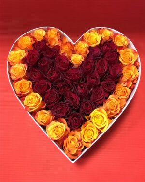 Rožu sirds oranža, sarkana