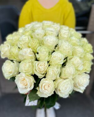 51 balta Ekvadoras roze