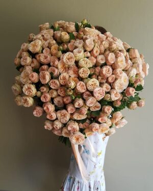 Peonijveida krūmrozes premium