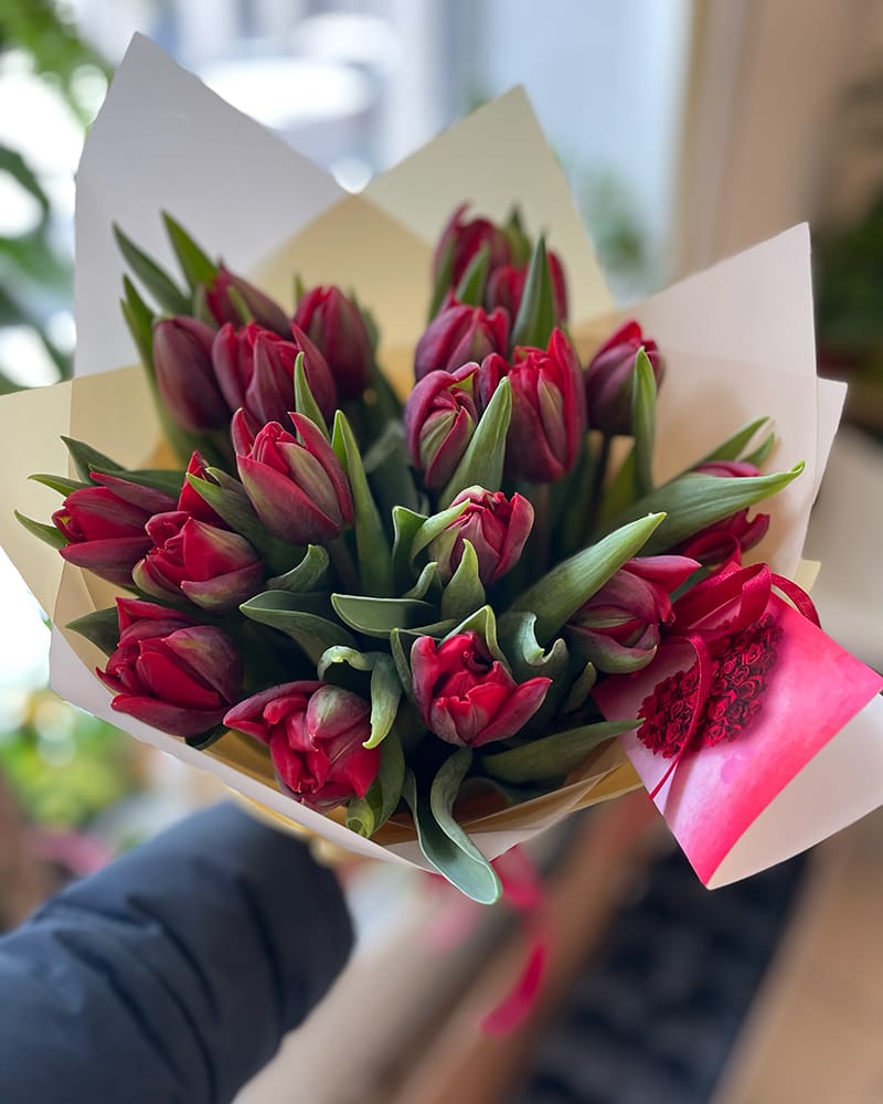 Pildītas sarkanas tulpes