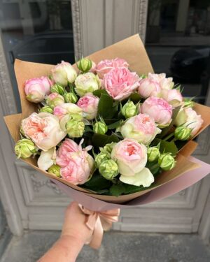 Maigi rozā krūmrozes